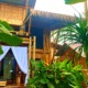 Image of a spacious and welcoming Family Home at BlissBamboo Homestay, set amidst the tropical beauty of Siargao.