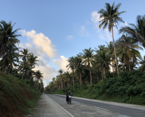 Spectacular image of the iconic Coconut Road in Siargao, lined with lush coconut palm trees on either side.